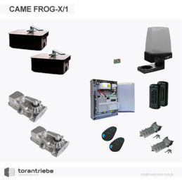 Set Unterflurantrieb CAME FROG-X/2