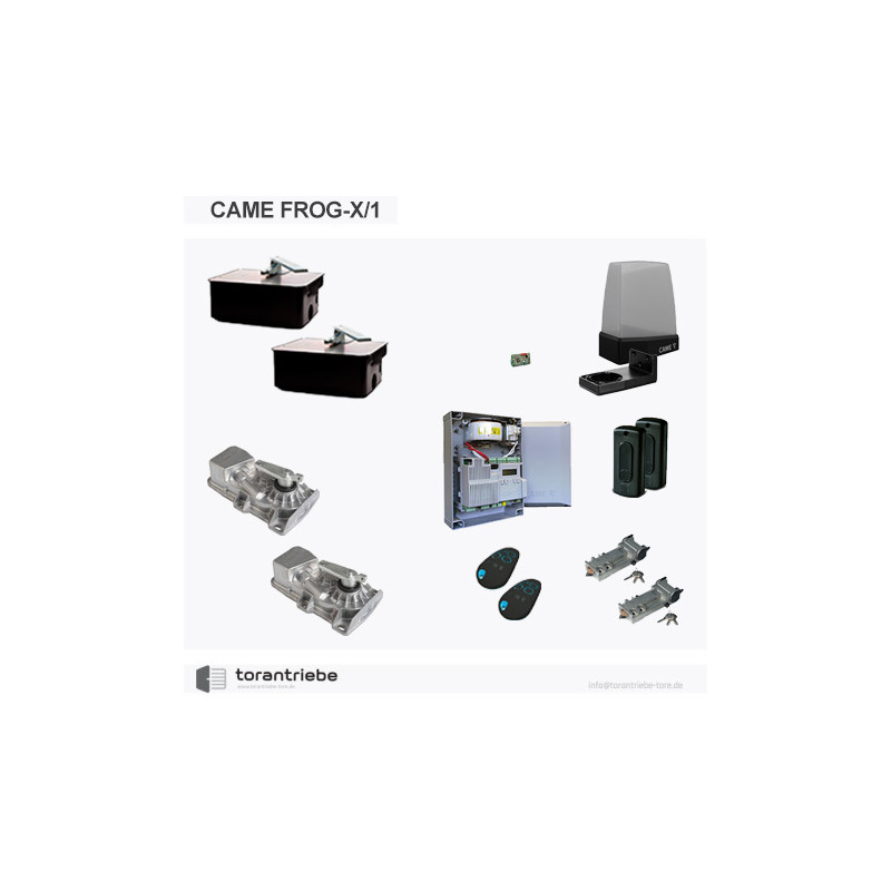 Set Unterflurantrieb CAME FROG-X/2
