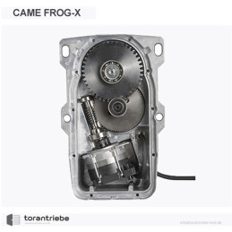 Bürstenloser Unterflurantrieb CAME FROG-X