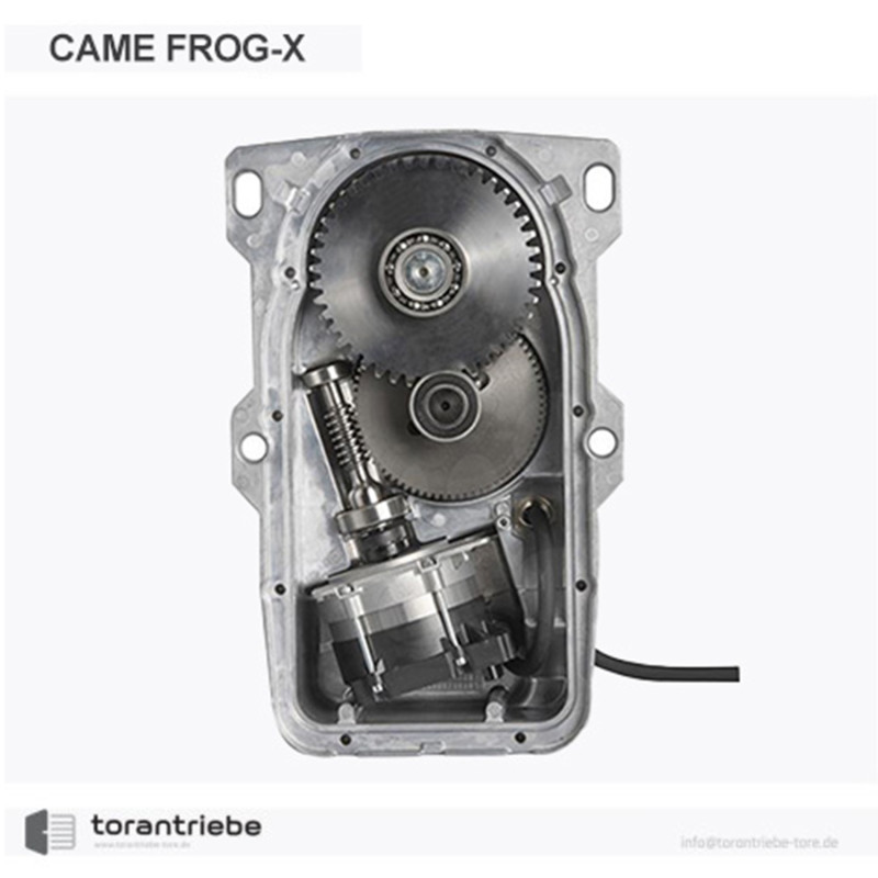 Bürstenloser Unterflurantrieb CAME FROG-X