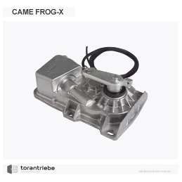 Bürstenloser Unterflurantrieb CAME FROG-X