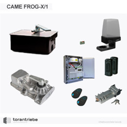 Set Unterflurantrieb CAME FROG-X/1