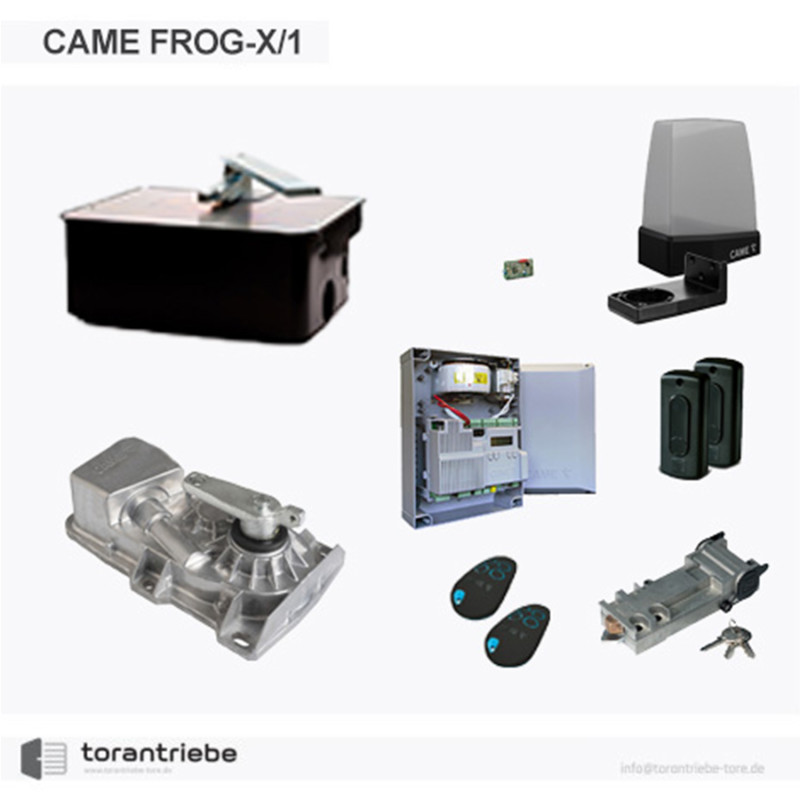 Set Unterflurantrieb CAME FROG-X/1
